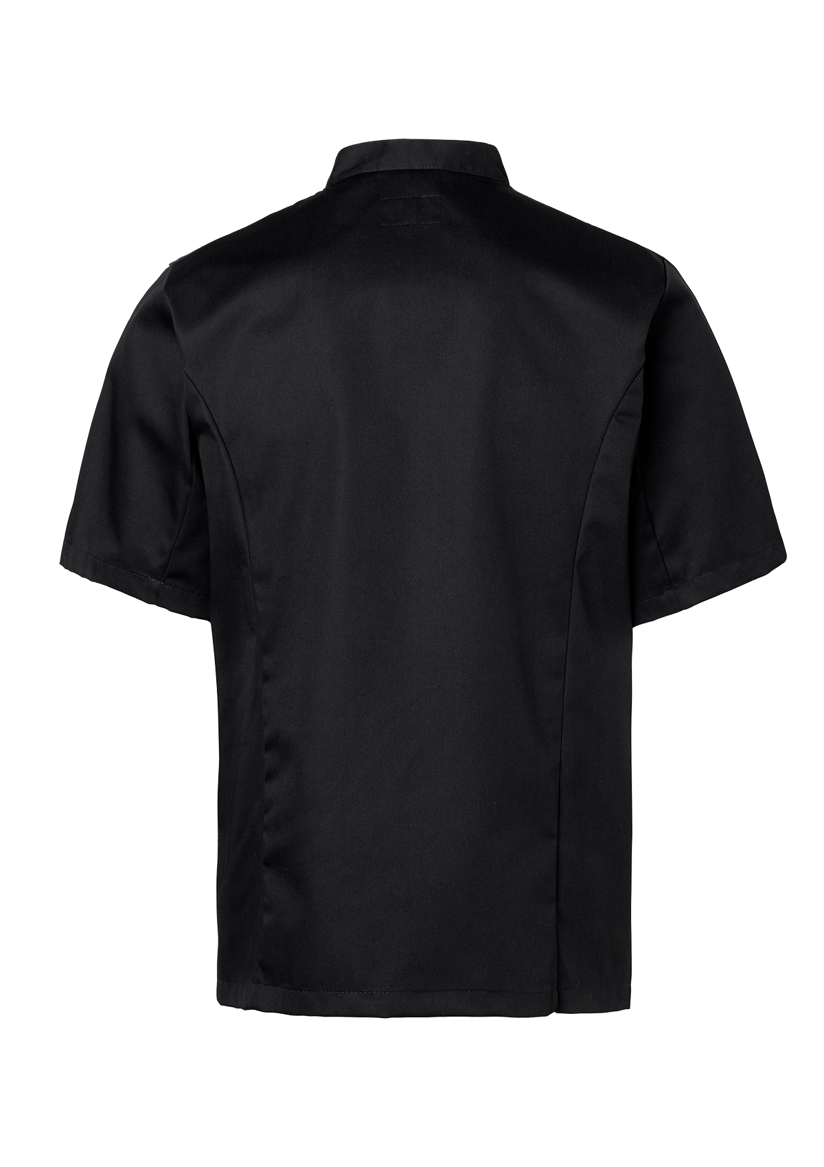 Men's Chef Jacket in Classic Cut Double-Breasted Short Sleeves | Segers